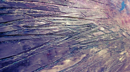 Фрагмент роботи художника Маріанни Маслово